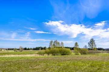 Obraz premium Grass field and blue sky, green spring landscape