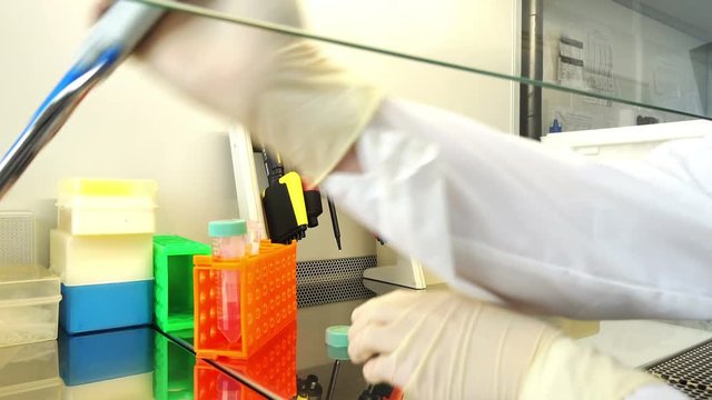 Young scientist working in a safety laminar air flow cabinet at laboratory