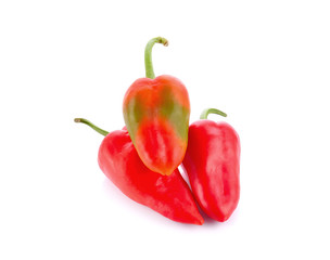 Red chili pepper isolated on white background.