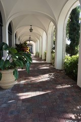 Arched Hallway with Potted Plants