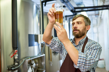 Concentrated middle-aged inspector wearing checked shirt and apron holding glass of beer in hands...