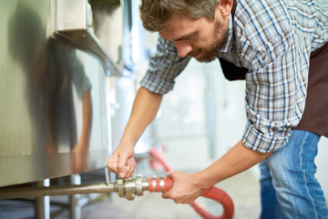 Working process at modern beer factory: bearded middle-aged technician wearing apron leaned down in order to adjust equipment