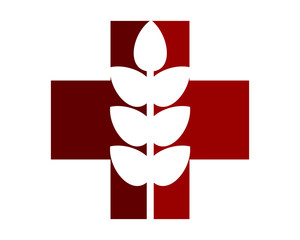 medical paddy wheat plant flora image vector icon