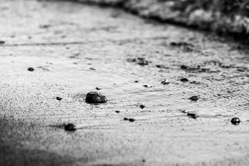 A close view of a lake shore,with details of sands and little stones