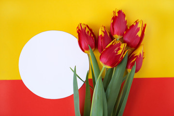 Flower Tulip. Tulips red yellow on a combined red yellow background and round white frame for text.Postcard with a Tulips. .Flower frame.