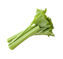 Fresh celery stalks on a white background