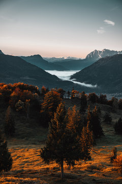 Sonnenaufgang in den Bergen mit Sonnenstrahlen in den Herbstlichen B&auml;umen und einem vernebeltenm Tal mit Bergen im Hintergrund