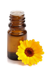 aromatherapy essential oil with marigold flowers isolated white background