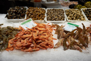 counter with shrimp on the market