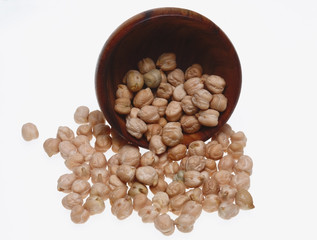 Kichererbsen, Cicer arietinum, Felderbse, Familie der Hülsenfrüchtler