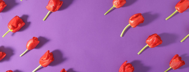 Frame of red tulips on purple background, top view