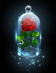 Red rose under the crystal dome © Nelli Valova
