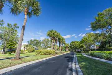 Fototapeta na wymiar Gated community road with palms in South Florida, United States