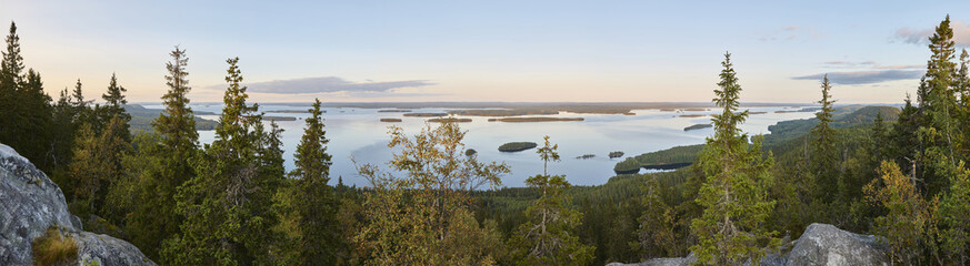 Panoramic landscape view. Koli National Park. Pielinen area. Finland