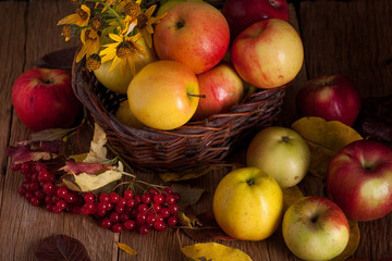 Apples in basket