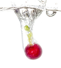 radish in water isolated on white background