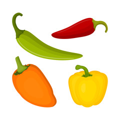 set with different types of peppers