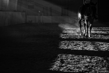 Details of a horse training with sun rays and dust inside a horseback riding school