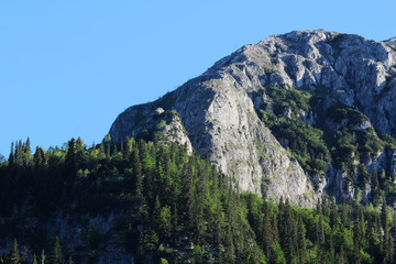 Obraz premium National Park Durmitor in Montenegro