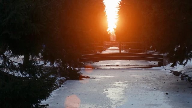Catherine Park in Pushkin in winter