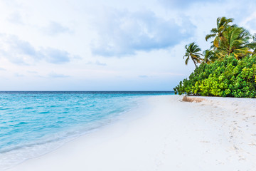 Fototapeta na wymiar On a white sand beach in paradise. Tropical island in the ocean. Palm trees on white sand beach. Maldives. A great place to relax.