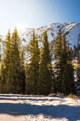 Winter sunny day in mountains near Almaty, Kazakhstan