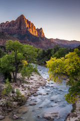 Sunset at Zion Nationalpark, Utah with the flowing virgin river leading to the watchman in the background