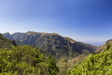 Arid vegetation with a dramatic valley and mountainous view in Madeira, Portugal.