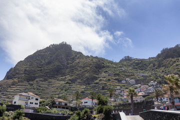 Obraz premium Terraces above the village of Porto Moniz in Madeira, Portugal.