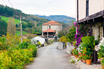 Houses decorated with flowers in San Marcelo (Samarciellu) village in Asturias, Spain