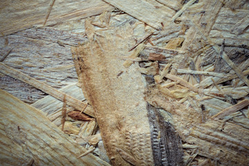 New wooden texture for background. Toned