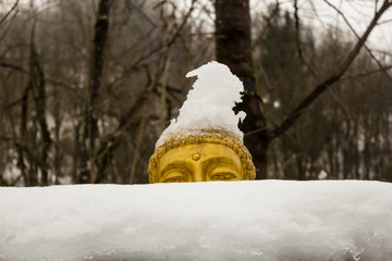 a golden head of a buddha with a hood of snow