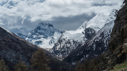 Fototapeta na wymiar Mont Viso sous la neige