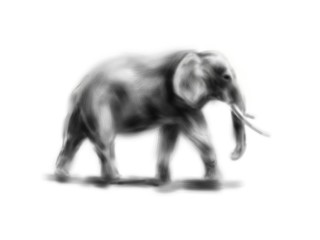 Hand drawing elephant. Digital illustration
