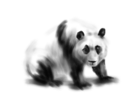 Hand drawing a panda. Digital illustration