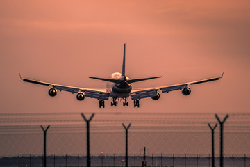Fototapeta premium Airplane landing at sunset