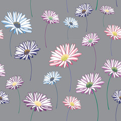 Daisies seamless pattern. Vector illustration on grey background
