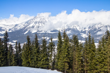 Kaiser Mountains and pine forest, Austria