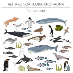 Antarctic, Antarctica,  flora and fauna map, flat elements. Animals, birds and sea life big set. Build your geography infographics collection - obrazy, fototapety, plakaty