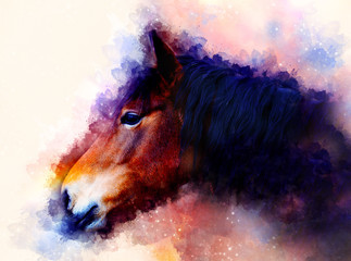 horse face and softly blurred watercolor background. © jozefklopacka