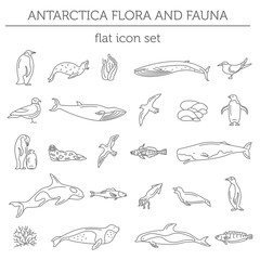 Flat Antarctica flora and fauna  elements. Animals, birds and sea life simple line icon set