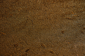 Moss texture. Nature background