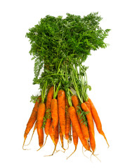 carrots isolated on white