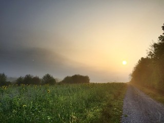 Sonnenaufgang in ländlicher Gegend mit Feldweg bei Pfedelbach