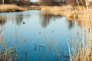 Fishing lake with blue water and reeds in autumn.