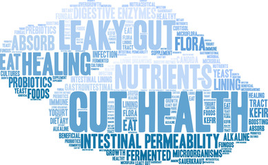 Gut Health Word Cloud on a white background. 