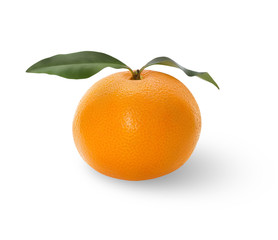 A whole mandarin with fresh leaves on a white background