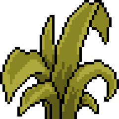 Fototapeta premium vector pixel art grass