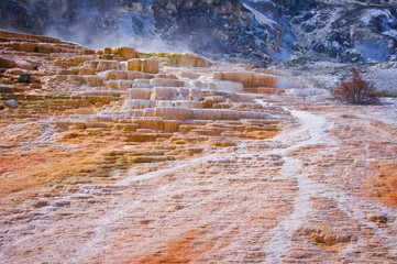 Mammoth hot springs, Yellowstone National Park, USA