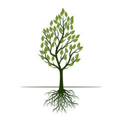 Set Green Trees with Leaves. Vector Illustration.